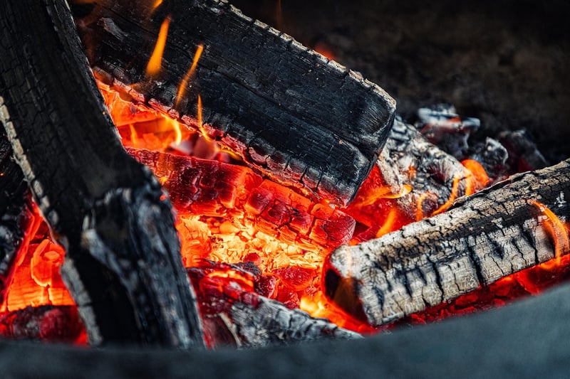 Campfire in the woods